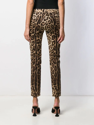 Shop Dolce & Gabbana Leopard-print Cropped Jeans In Neutrals
