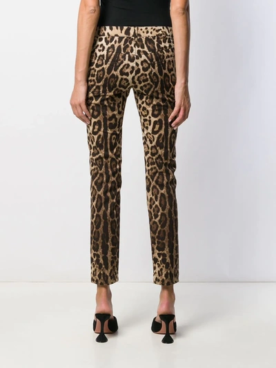 Dolce & Gabbana Leopard Print Cropped Trousers In Neutrals