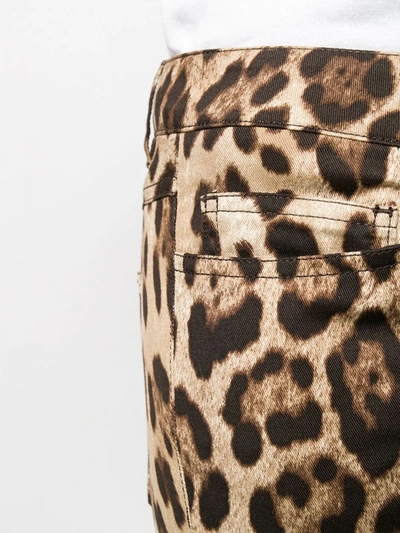 Dolce & Gabbana Leopard Print Cropped Trousers In Neutrals