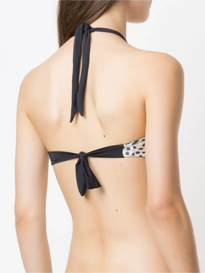 Shop Track & Field Selvagem Print Bikini Top In Neutrals