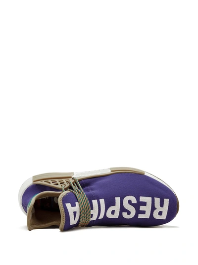 Adidas Originals X Pharrell Williams Human Race Nmd Tr Sneakers In Purple