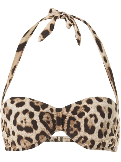 Shop Dolce & Gabbana Leopard Print Bikini Top In Brown