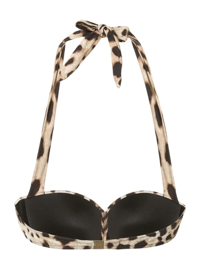 Shop Dolce & Gabbana Leopard Print Bikini Top In Brown