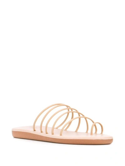 Shop Ancient Greek Sandals Sani Flat Sandals In Neutrals