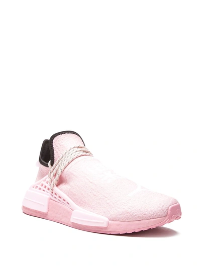 Shop Adidas Originals By Pharrell Williams X Pharrell Nmd Hu "pink" Sneakers