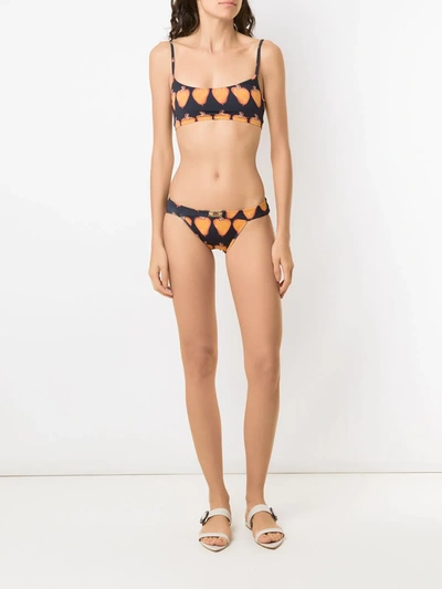 Shop Amir Slama Printed Bikini Set In Black