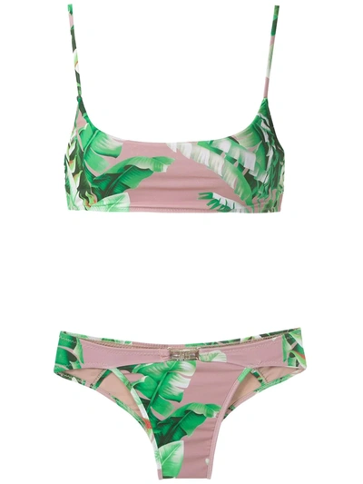 Shop Amir Slama Printed Bikini Set In Green