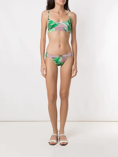 Shop Amir Slama Printed Bikini Set In Green