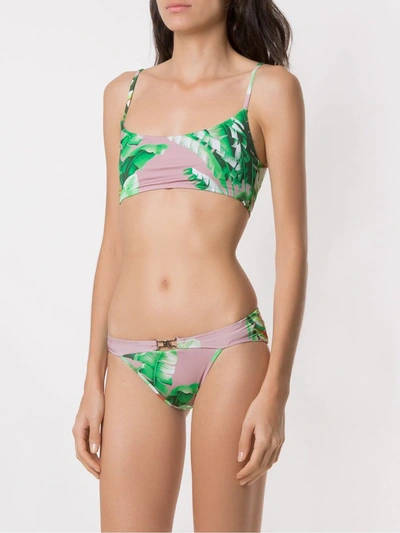 Shop Amir Slama Printed Bikini Set In Green