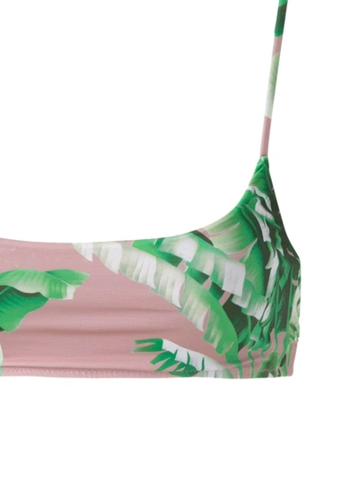 Shop Amir Slama Printed Bikini Set In Green