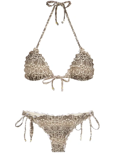 Shop Amir Slama Python Print Bikini Set In Neutrals