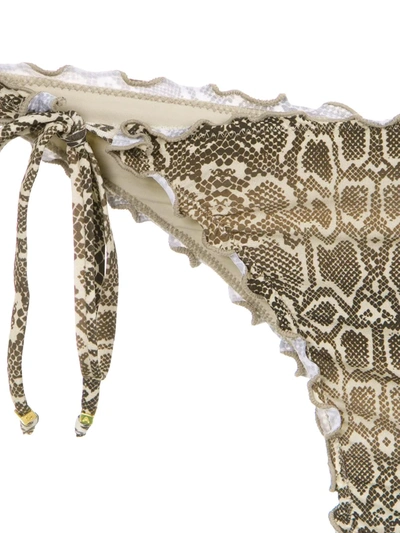 Shop Amir Slama Python Print Bikini Set In Neutrals