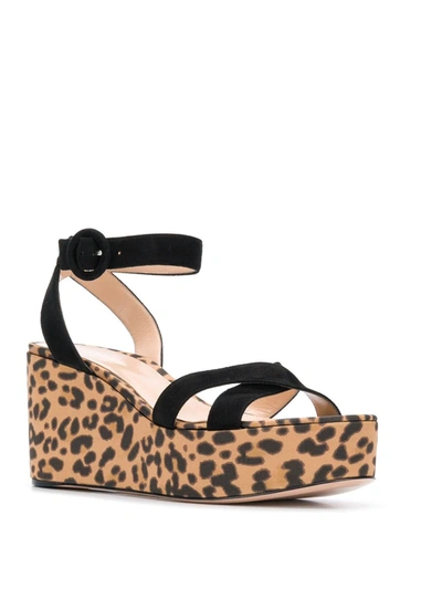 Shop Gianvito Rossi Leopard Print Sandals In Black