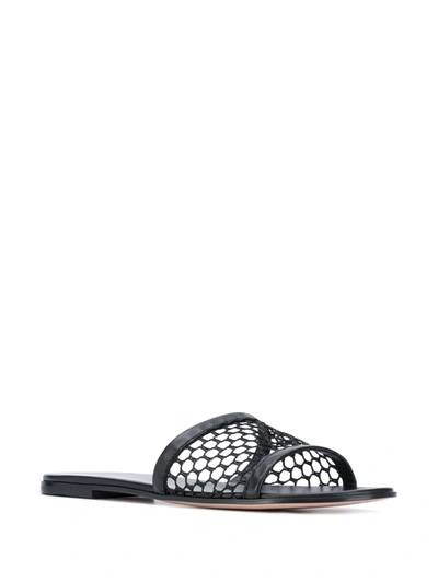 Shop Gianvito Rossi Nene Open-toe Sandals In Black