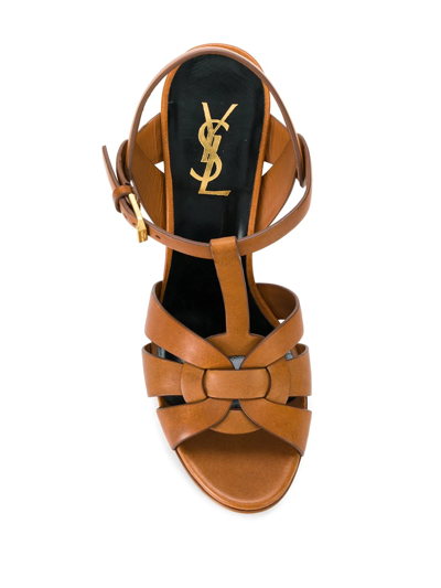 Shop Saint Laurent Tribute Sandals In Brown