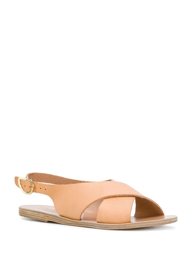 Shop Ancient Greek Sandals Maria Flat Sandals In Neutrals