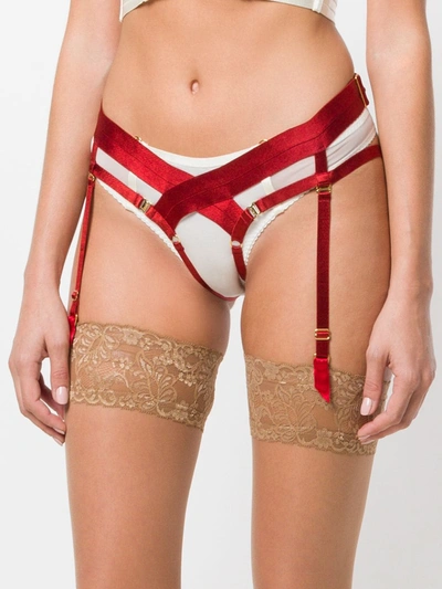 Shop Bordelle Suspender Belt In Red