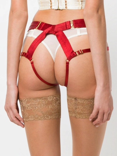 Shop Bordelle Suspender Belt In Red