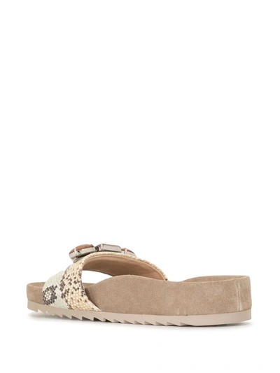 Shop Ash Cabochon-embellished Slides In Brown