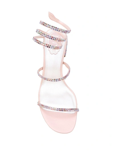 Shop René Caovilla Spiral Sandals In Pink