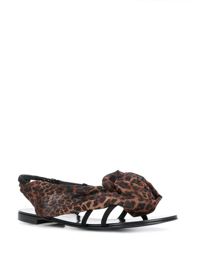Shop Giuseppe Zanotti Milonga Leopard Sandals In Black