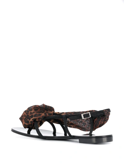 Shop Giuseppe Zanotti Milonga Leopard Sandals In Black