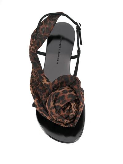 Shop Giuseppe Zanotti Milonga Leopard Sandals In Black