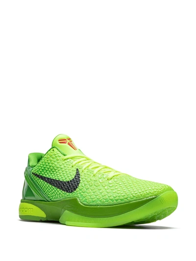 Shop Nike Kobe 6 Protro Trainers In Green