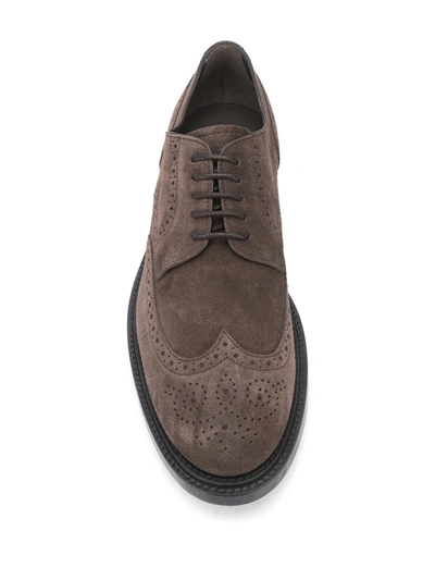 Shop Tod's Lace-up Brogues In Brown