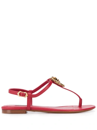 Shop Dolce & Gabbana Devotion Leather Thong Sandals In Red