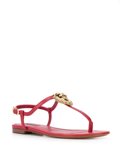 Shop Dolce & Gabbana Devotion Leather Thong Sandals In Red