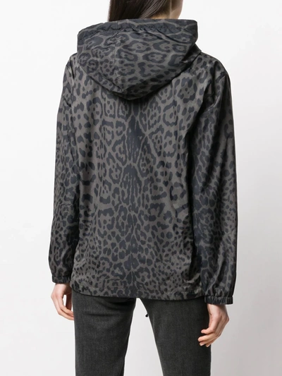 Shop Saint Laurent Leopard Print Hooded Bomber In Grey