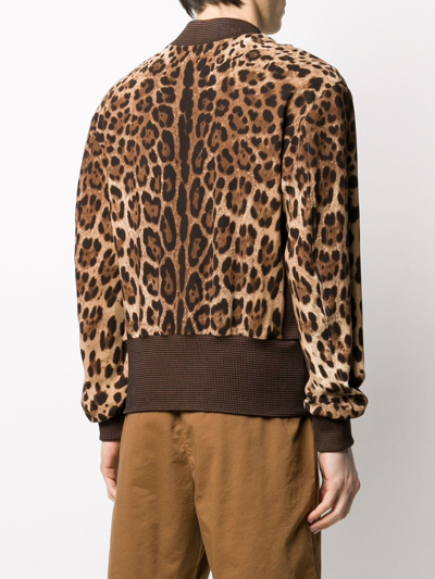 Shop Dolce & Gabbana Leopard-print Bomber Jack In Brown