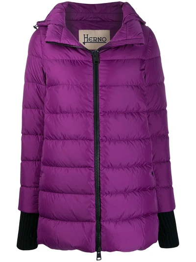 Shop Herno Hooded Padded Coat In Purple