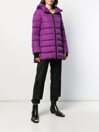 Shop Herno Hooded Padded Coat In Purple