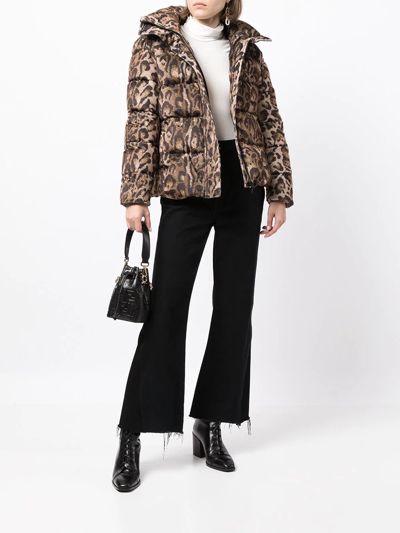 Shop Unreal Fur Huff & Puff Leopard Jacket In Brown