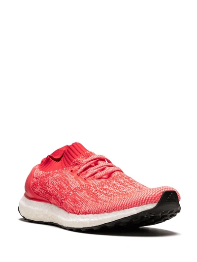 Shop Adidas Originals Ultraboost Uncaged "ray Red" Sneakers