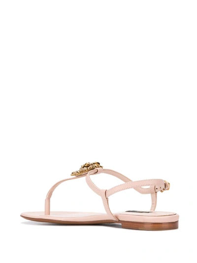 Shop Dolce & Gabbana Devotion Leather Thong Sandals In Pink