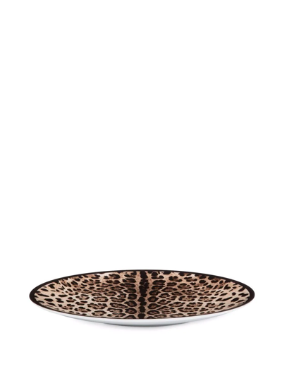 Dolce & Gabbana Set Of Two Leopard Print Dinner Plates In Weiss