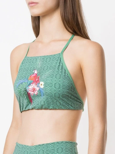 Shop Track & Field Tribos Cropped Bikini Top In Green