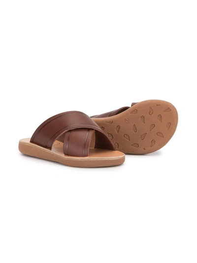 Shop Ancient Greek Sandals Little Thais Sandals In Brown