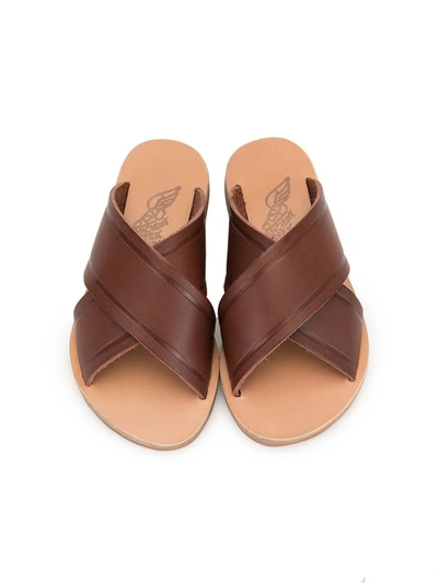 Shop Ancient Greek Sandals Little Thais Sandals In Brown