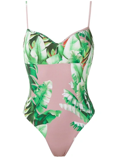 Shop Amir Slama Floral Print Swimsuit In Green