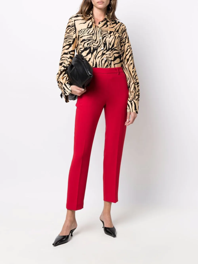 Shop Alberto Biani Slim-cut Trousers In Rot