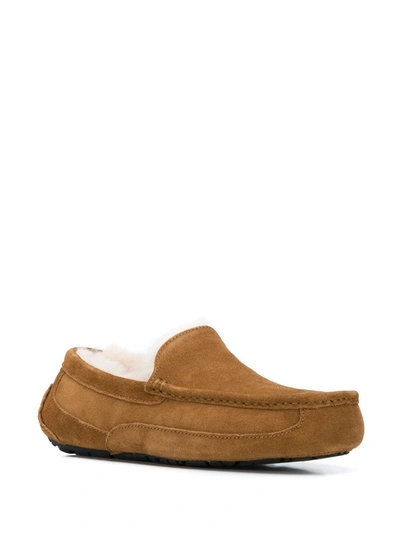 Shop Ugg Ascot Slippers In Neutrals