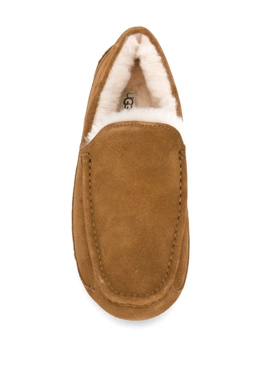 Shop Ugg Ascot Slippers In Neutrals