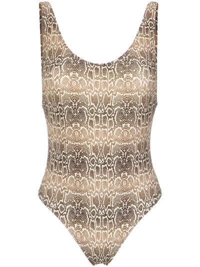 Shop Amir Slama Snake Print Swimsuit In Brown