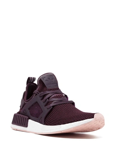 Adidas Originals Nmd_xr1 "dark Burgundy" Sneakers In Red