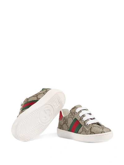 Shop Gucci Gg Supreme Low-top Sneakers In Neutrals