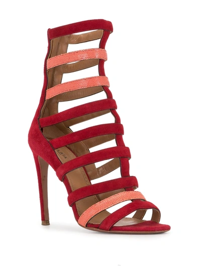 Pre-owned Alaïa High Gladiator Sandals In Red